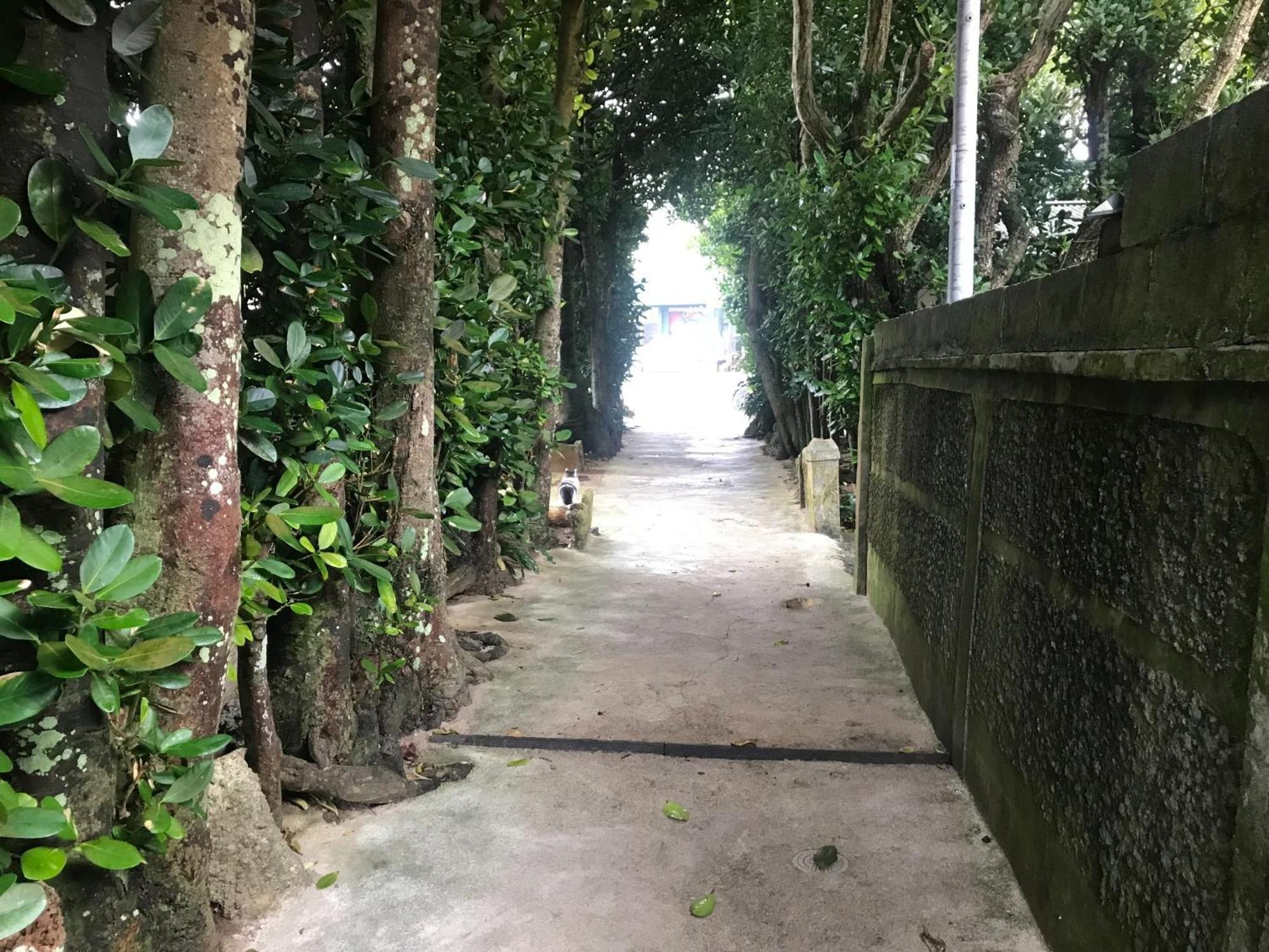 Niruyakanaya Bise - Vacation Stay 36704V 외부 사진